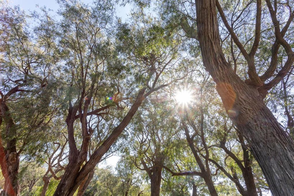 Busselton Villas And Glamping Village Eksteriør bilde